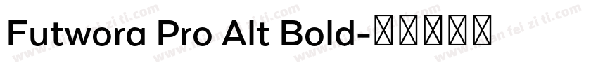 Futwora Pro Alt Bold字体转换
